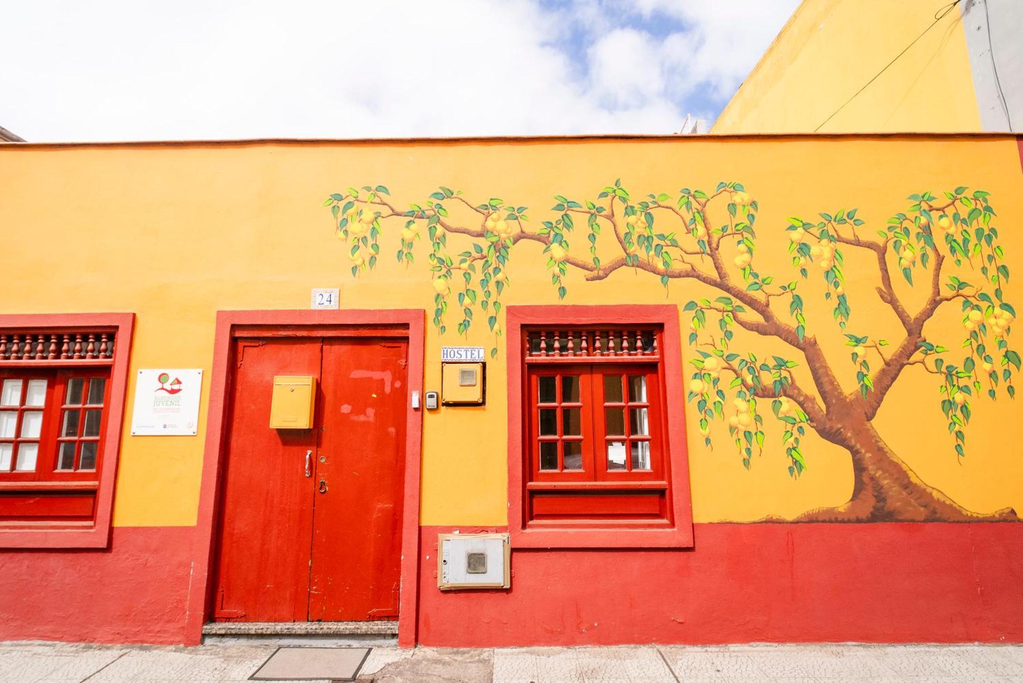 Hostel Tenerife La Orotava Exterior photo